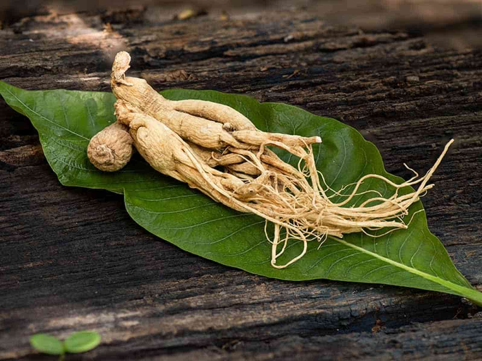 What is Ginseng?